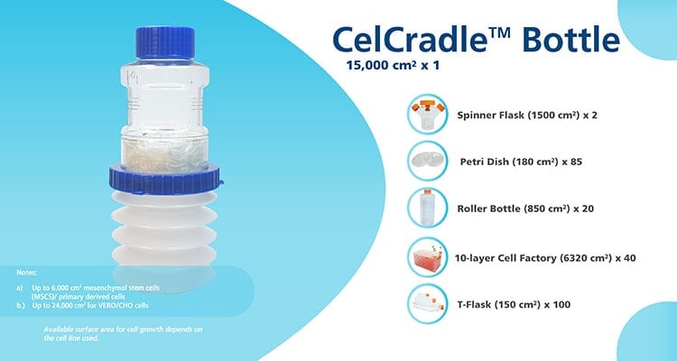 CelCradle Equivalence